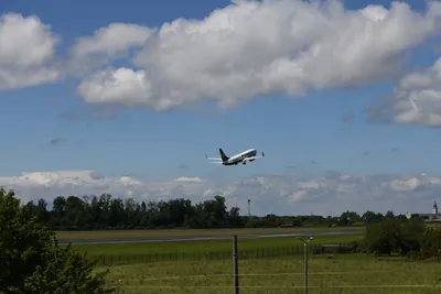 DSC_6308 (Large).JPG